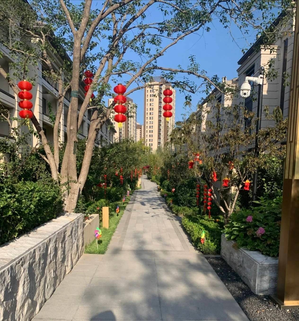 有三五八百的羊毛吗，不想挂壁房啃馒头了，想出去大排档吃海鲜。在按个摩。

70 / 作者:墨镜探长 / 