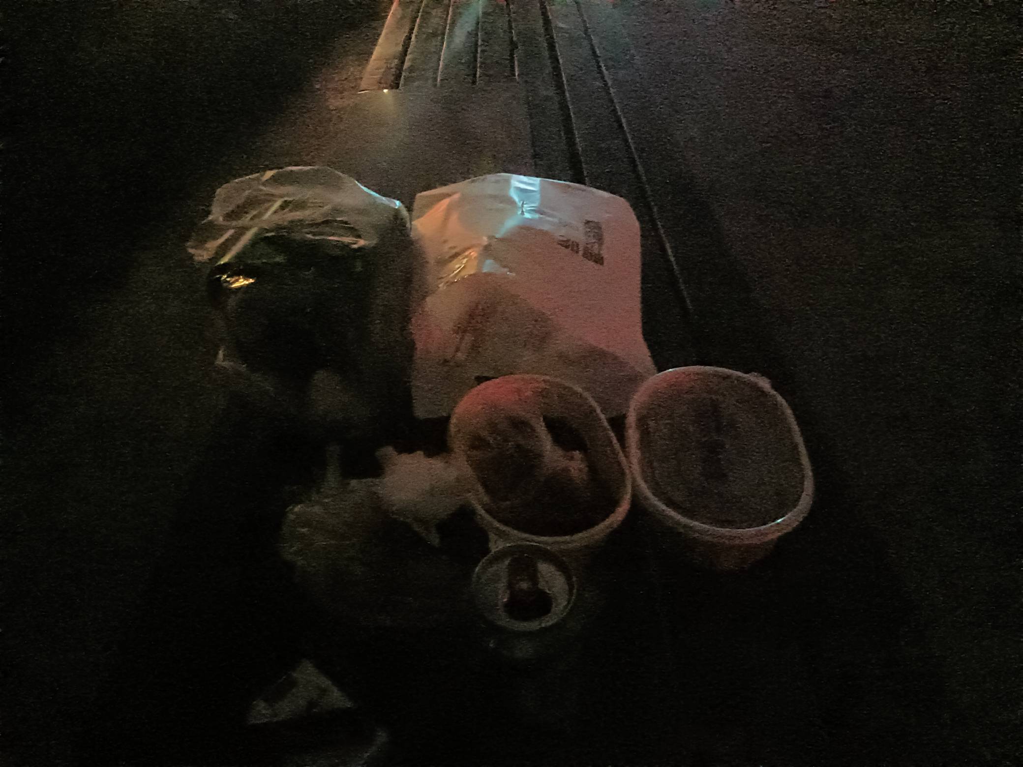 挂壁公园中，老哥们这太美了，蚊子太多了，毫不夸张的说我随便一拍都能打死两三只，如54 / 作者:买辣椒也用券 / 