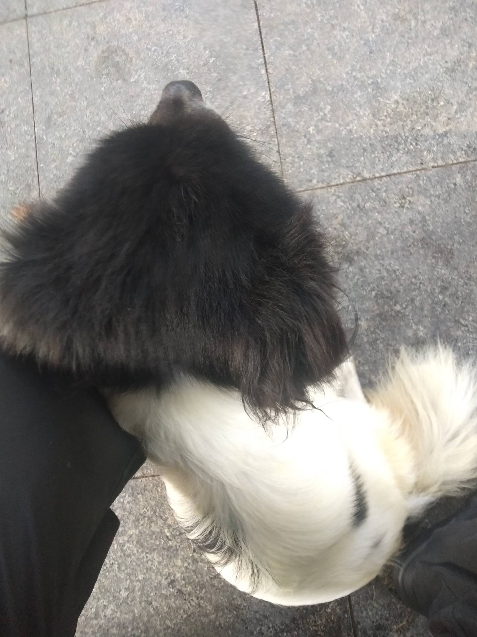 来毛啊，想饿斯我吗

90 / 作者:尛•牛•氓 / 