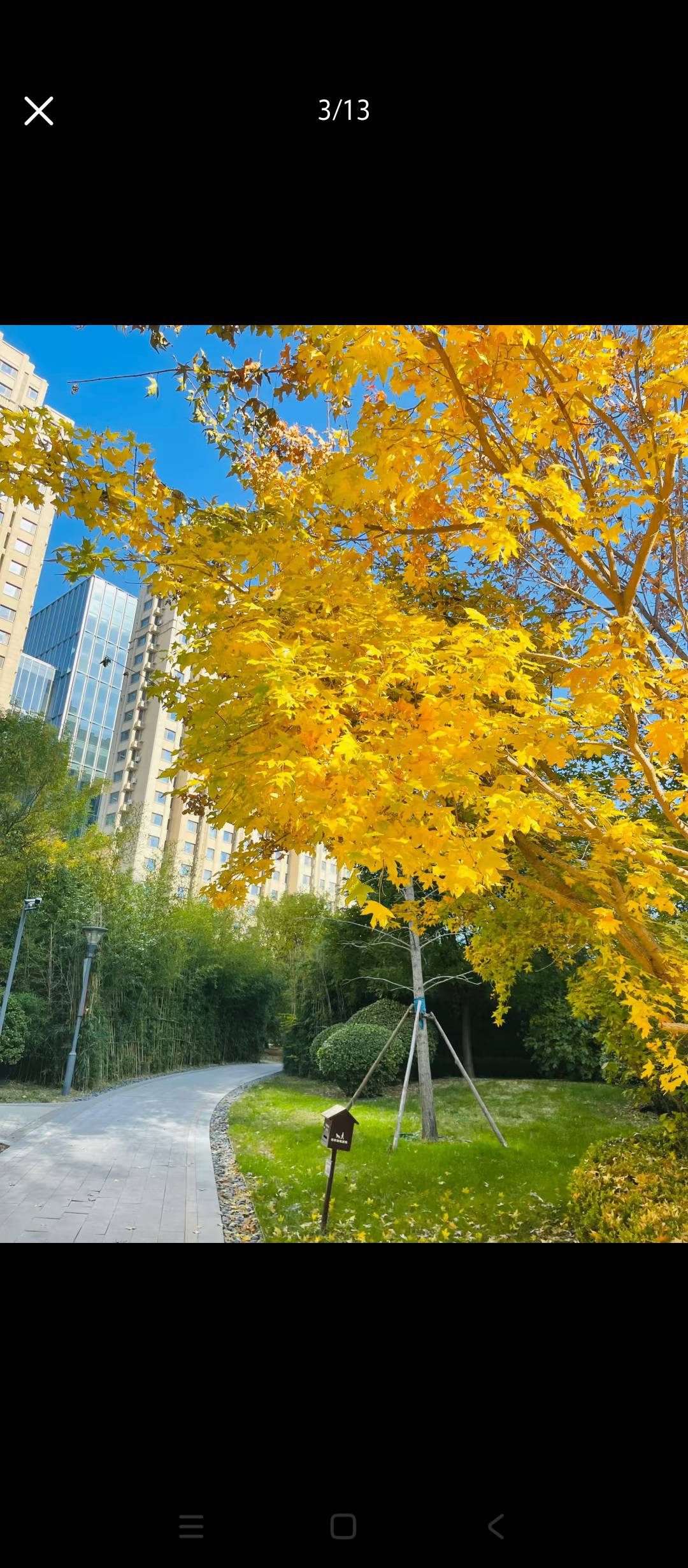 哥哥们贝壳一百五额度，是属于点击红色字体领取的额度还是提现额度，有个大号点了红色54 / 作者:逗你玩啊 / 
