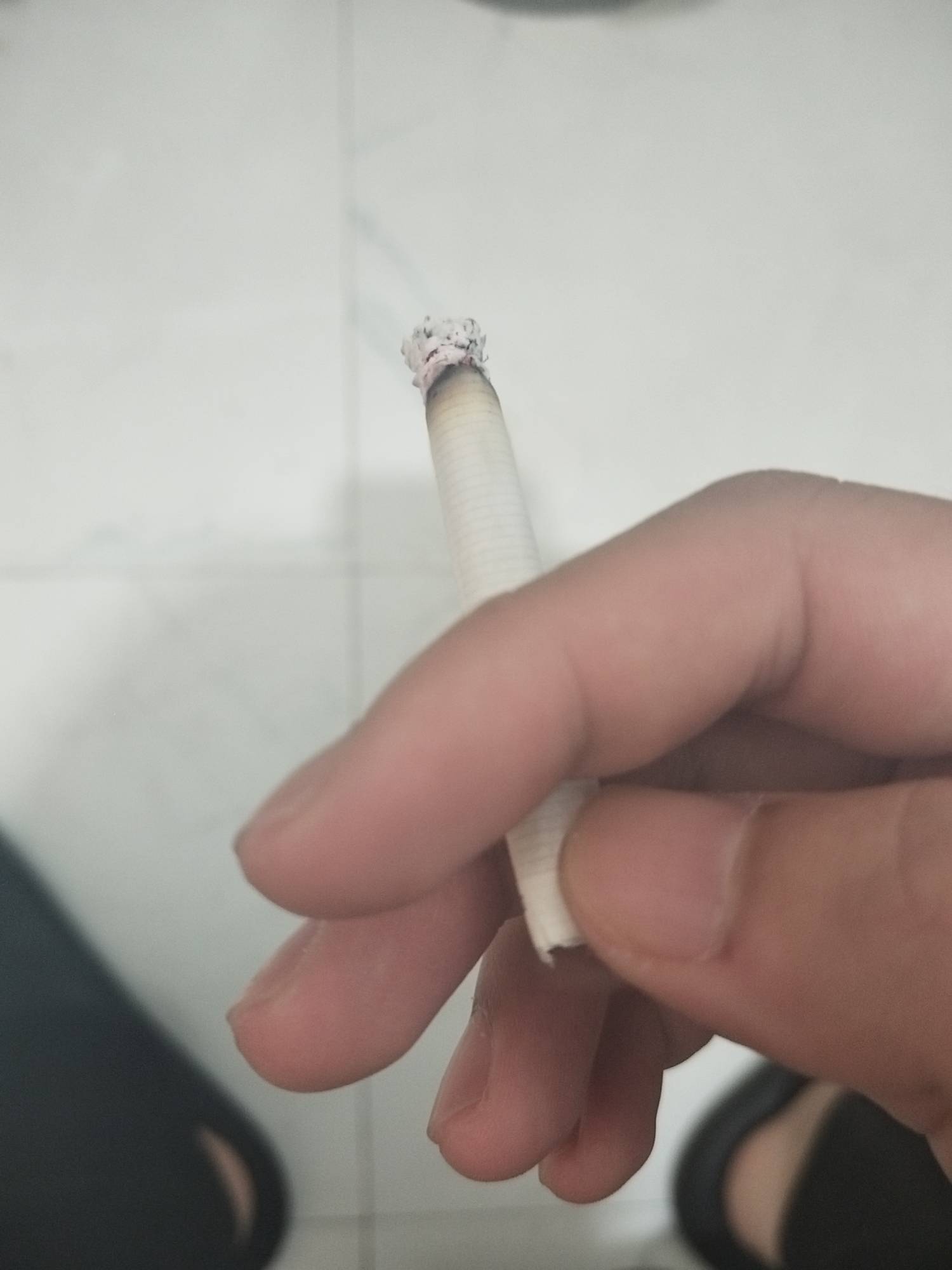软中华

98 / 作者:好兄弟一辈子 / 