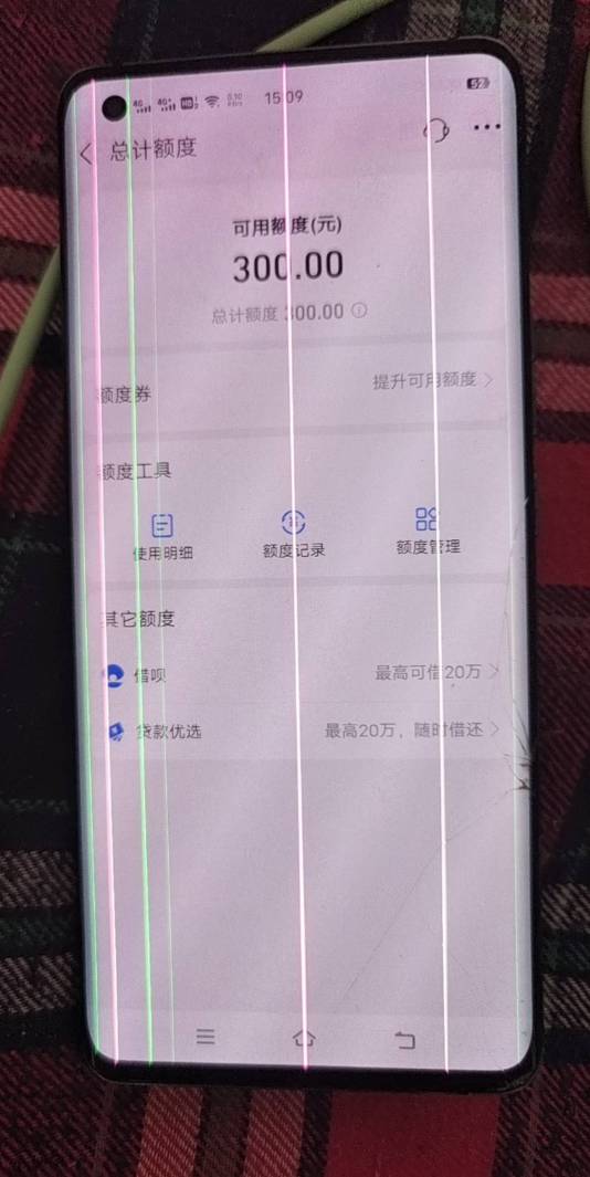 还以为跟以前一样，刷脸审核显示24小时，居然开了

81 / 作者:人死鸟朝天 / 