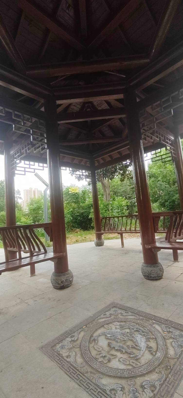 瘫痪公园，又热又饿

94 / 作者:聂荣 / 