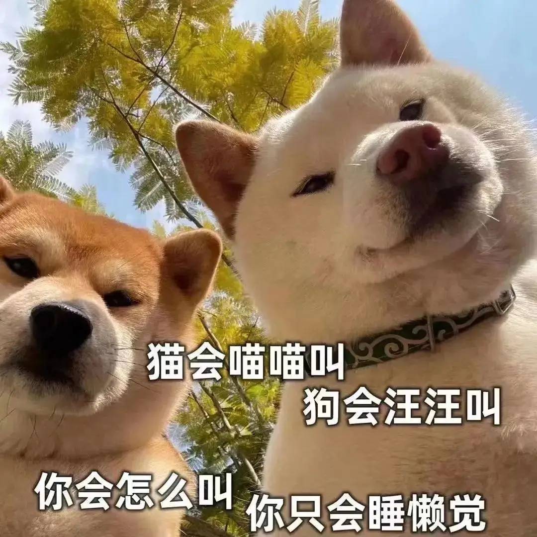 抖音那么大的平台都能通过的视频，我发到卡农让老哥们愉悦愉悦心情    管理都不让  

32 / 作者:勤快星奋斗的小鹿 / 
