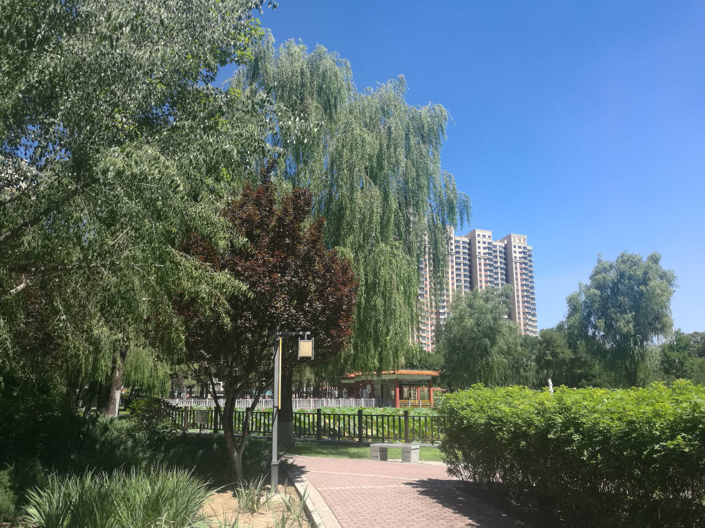 太难了 挂b公园 接个电话搞了一百来 终于饿不着了 高兴了一分钟流量超了扣了十块 话费56 / 作者:努力优秀_ / 