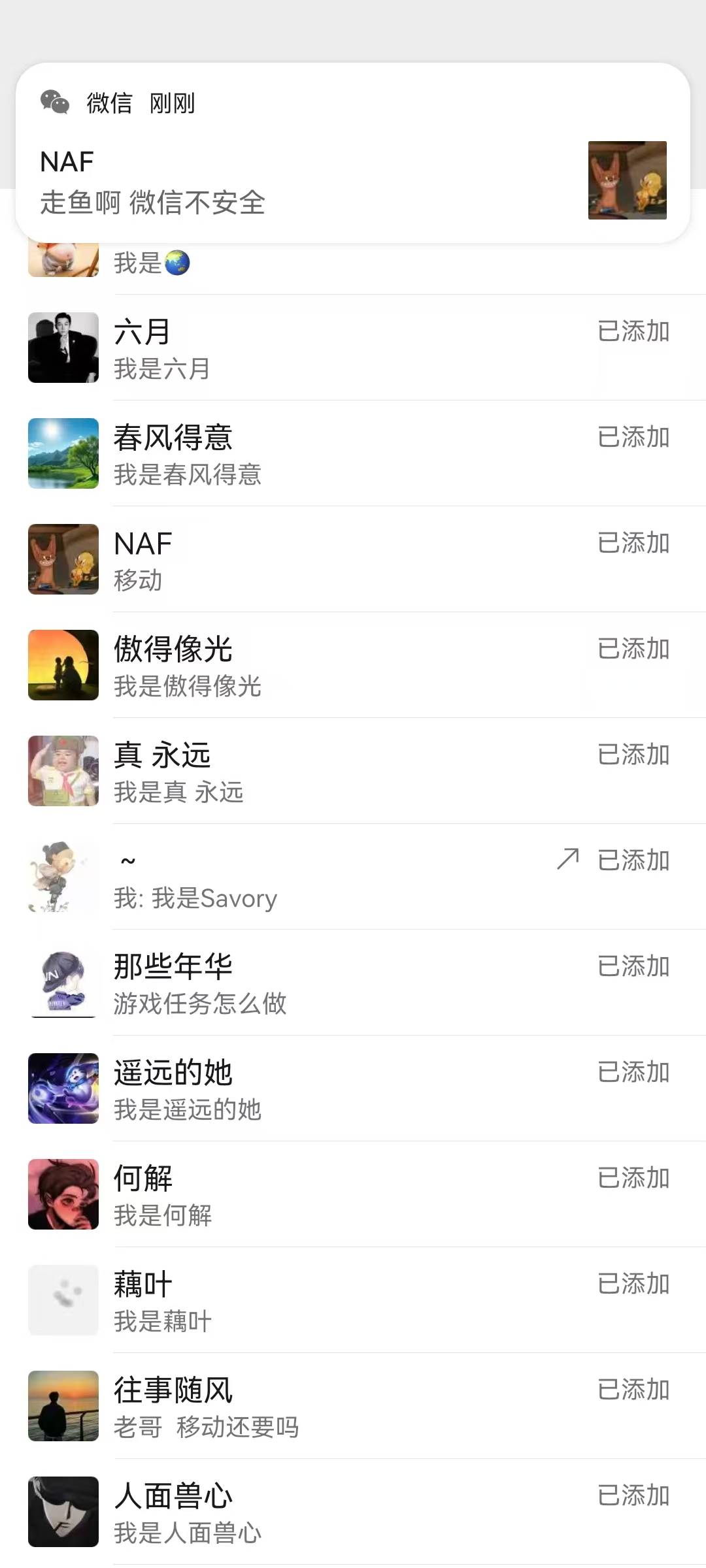 每日一贴 没睡觉的小伙伴 等我与骗子 卡农ID天选哥 的爱恨情仇 卡农我天选哥89就移动81 / 作者:木雁NAF / 