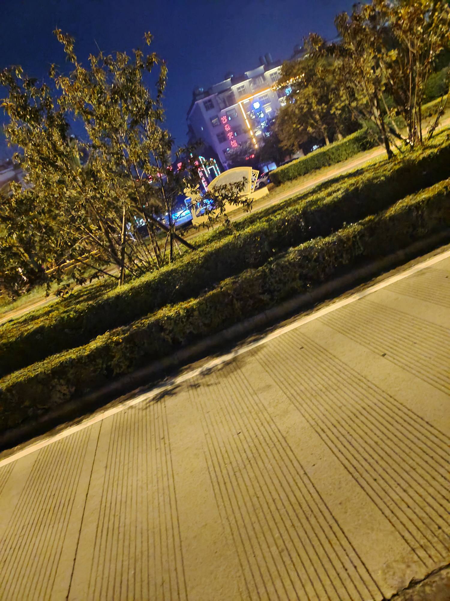 唉 有睡大街了，怎么办

46 / 作者:再见再见了 / 