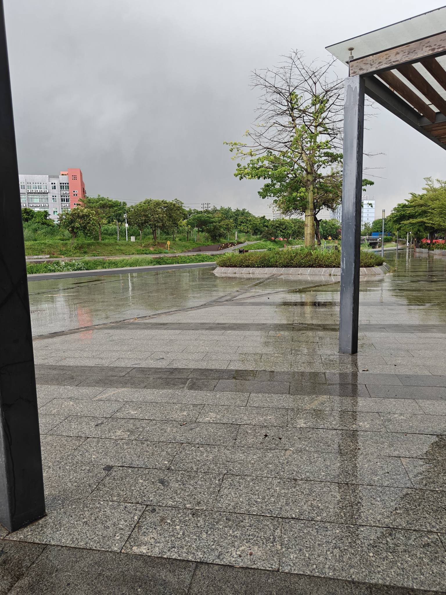 挂壁公园下雨，又没钱又饿，又懒

34 / 作者:天天被骗 / 
