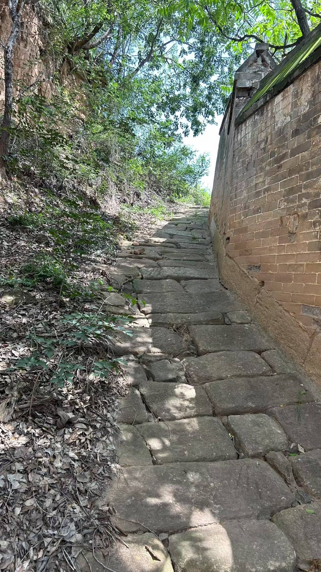 给导航干到无人村了，没路了，一会儿找高德客服掰扯掰扯









57 / 作者:老哥撸老哥ab / 
