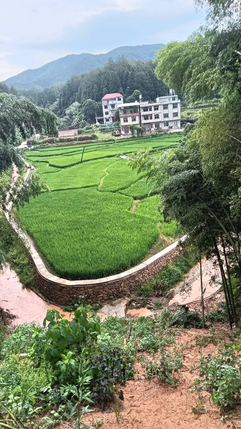 特大暴雨

22 / 作者:福建牛德华 / 