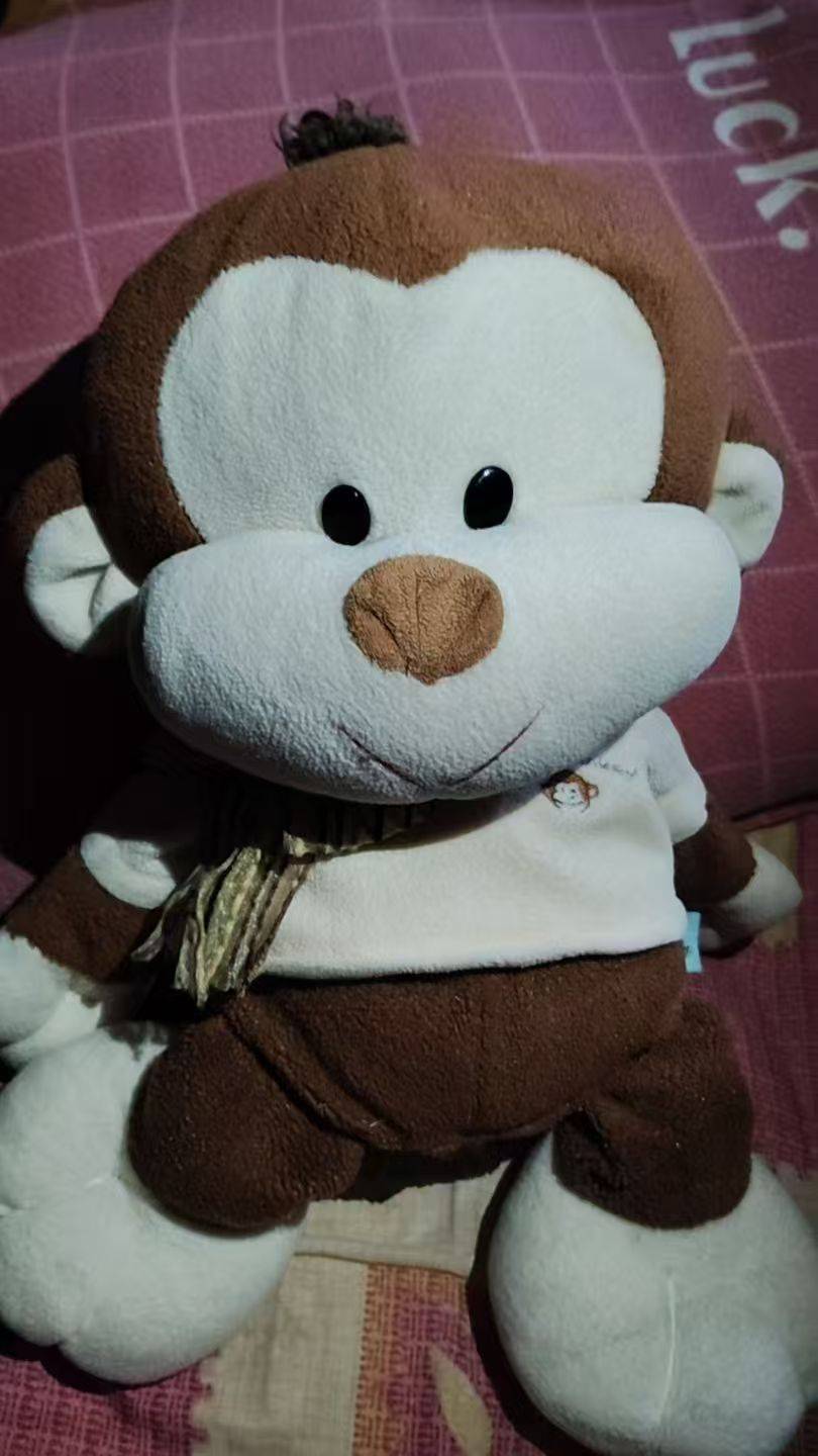 已经花钱买了一个跟猴子王差不多的，大家来看看这个像不像猴子王？
图一是新买的猴子59 / 作者:猴子的时候给他 / 