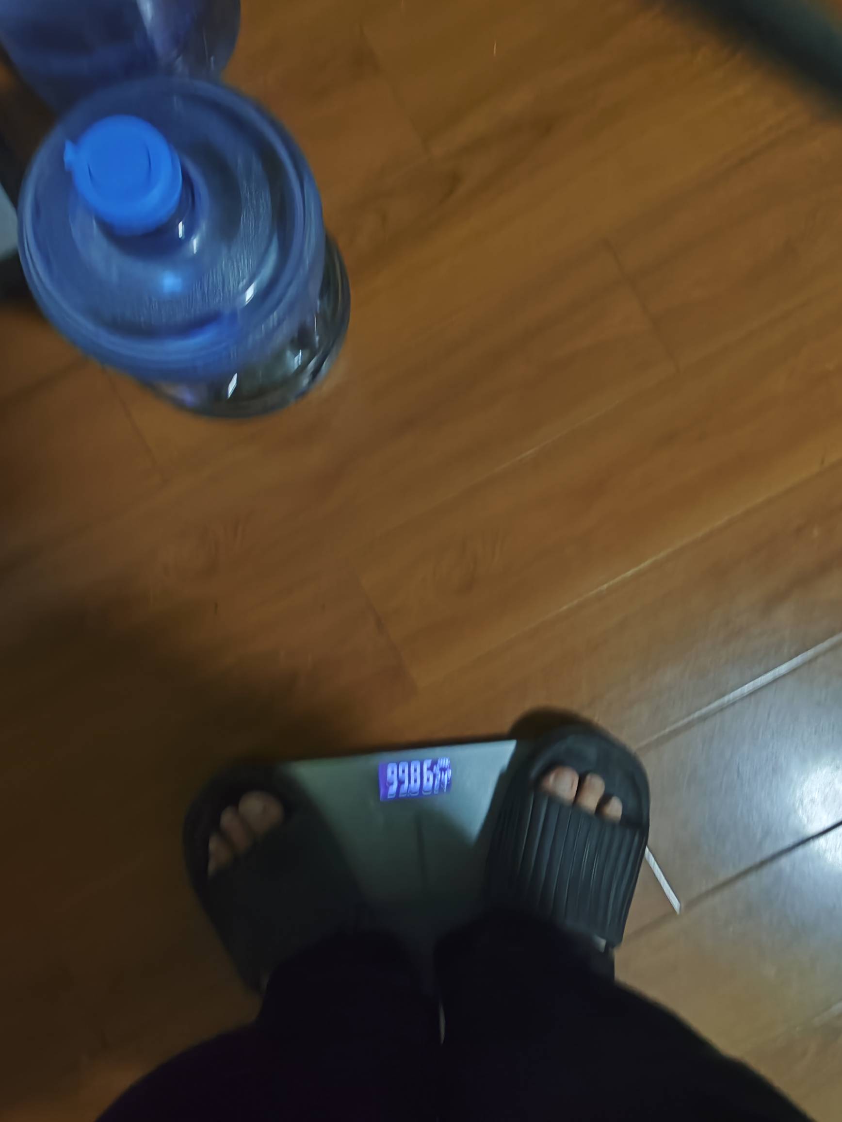 这是谁的部将！卡农比我肥大的有吗

61 / 作者:先烧杯 / 