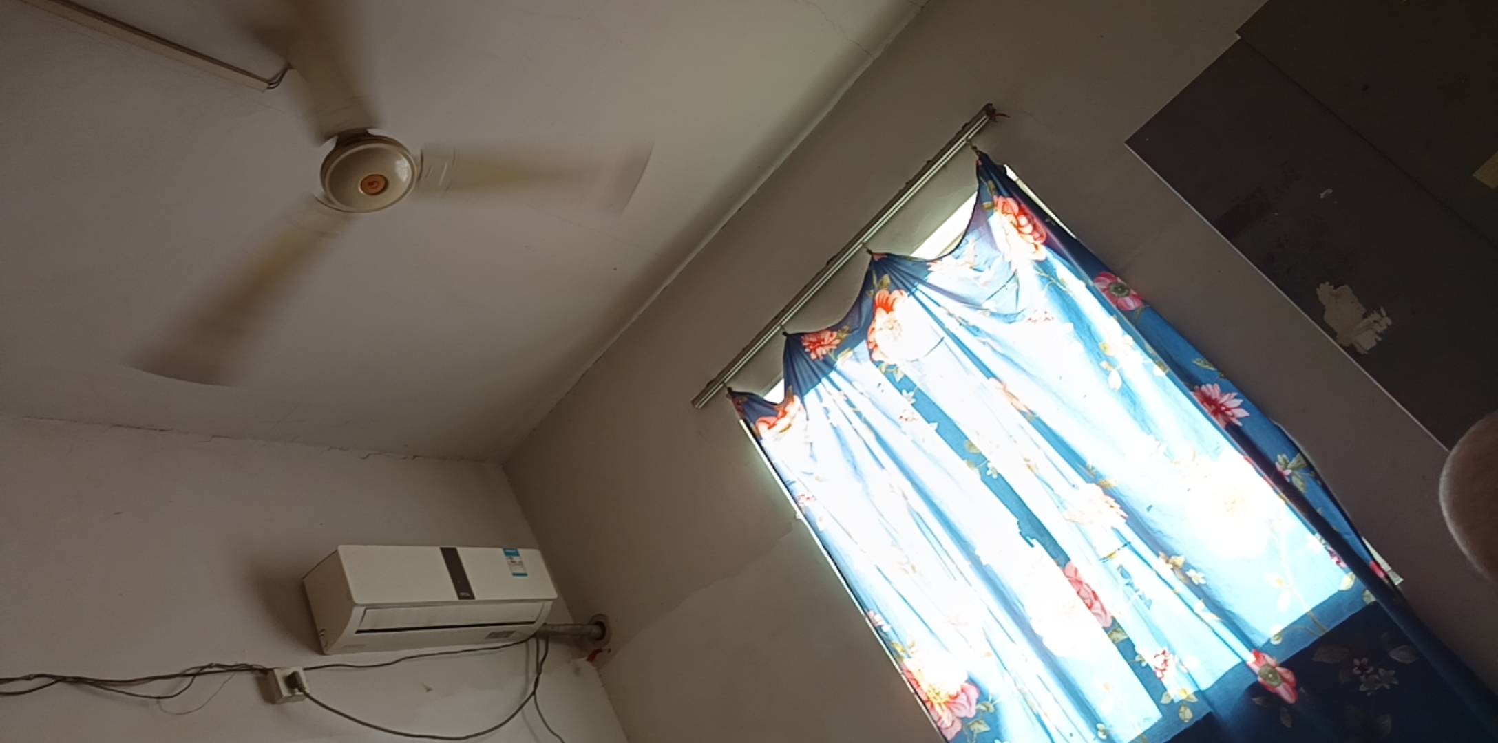 今天毛最少一天10块都没申请到，今天再躺一天。明天再怎么也得，去干几天日结，月底回31 / 作者:小爪哇 / 