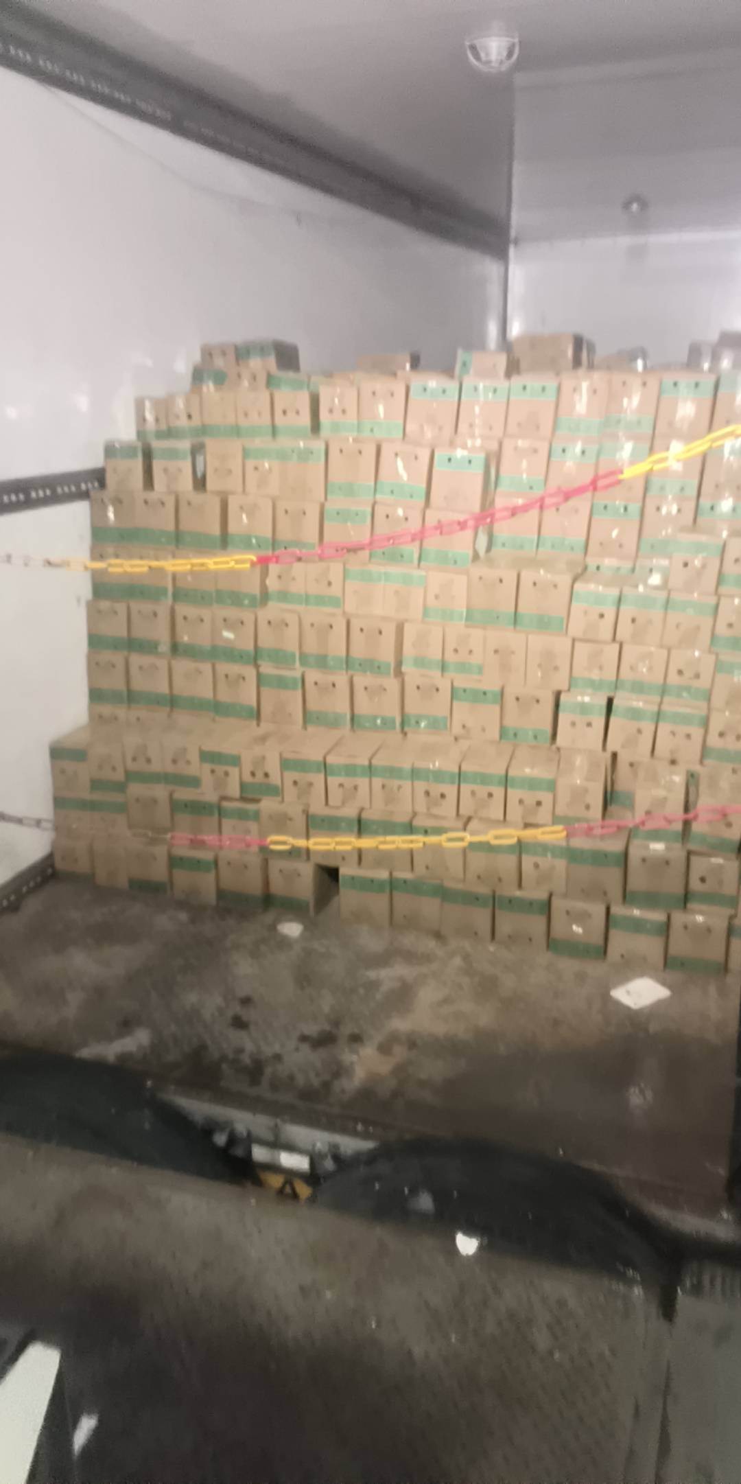 它喵的，自从上次余震后头开始偶尔晕，这两天严重影响，晕着以为又有


74 / 作者:大哥让我先跑 / 