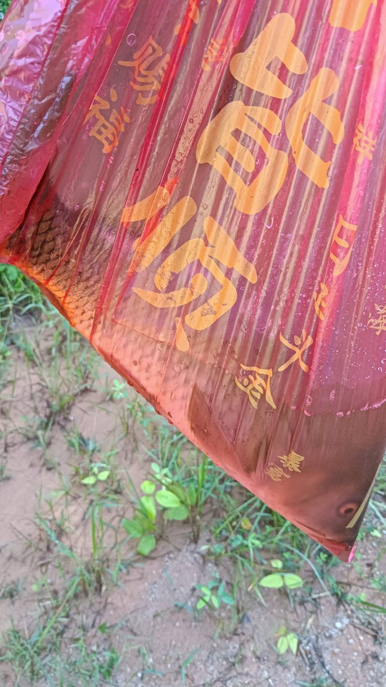 猜猜什么鱼

82 / 作者:福建牛德华 / 