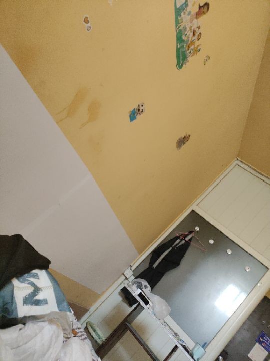 1000能买什么好手机，没钱了，我想把这个卖了多换几百块


63 / 作者:赋能 / 