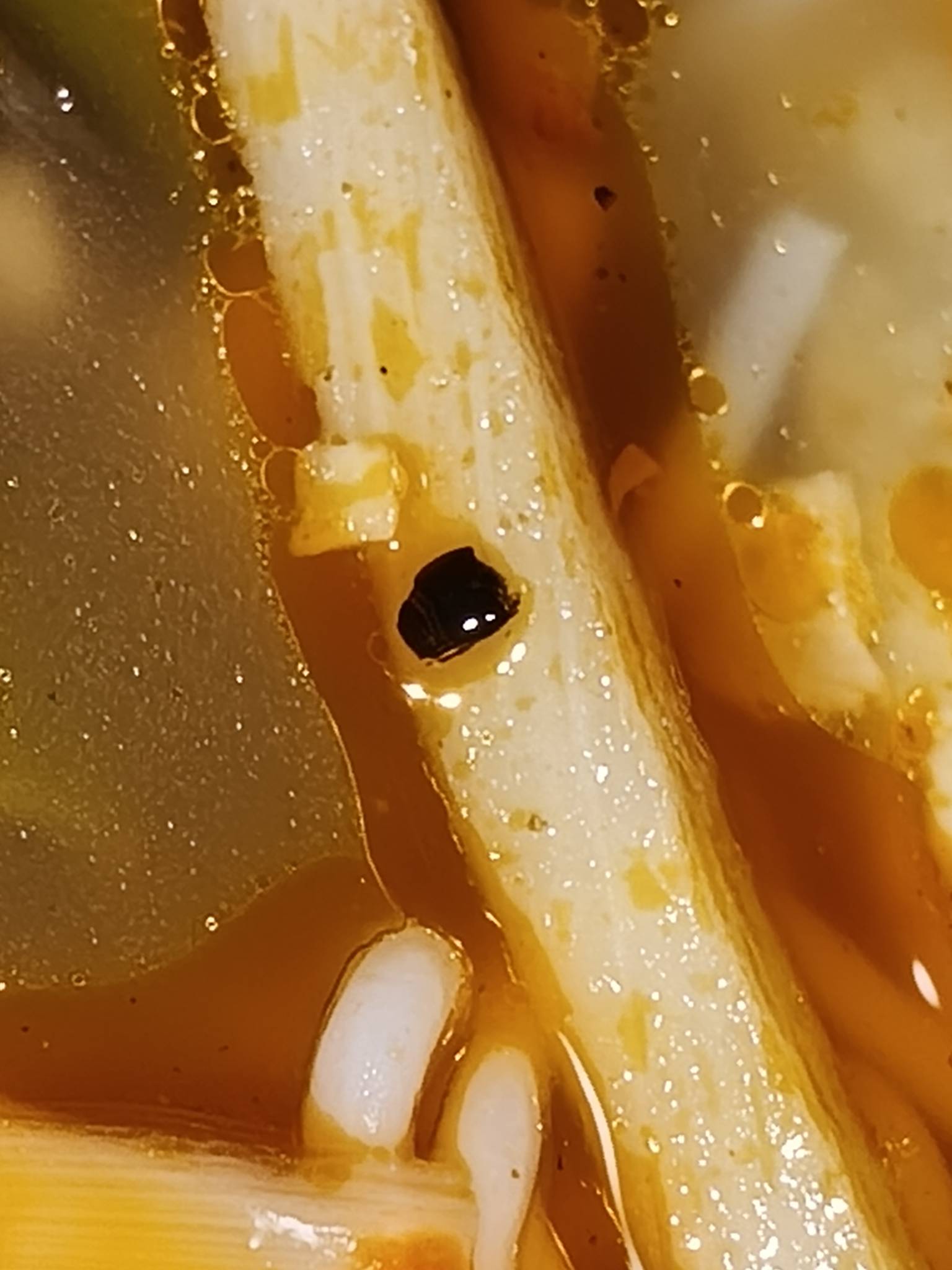 还得是东哥，吃着吃着不对劲，遇到个小瓢虫之前还一直点这家的


83 / 作者:卡农极速版 / 
