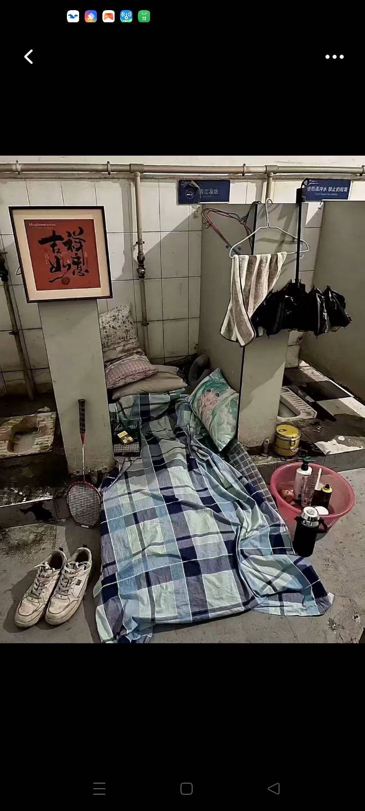 老哥饿死了，发点毛吧


87 / 作者:华子拍华子 / 