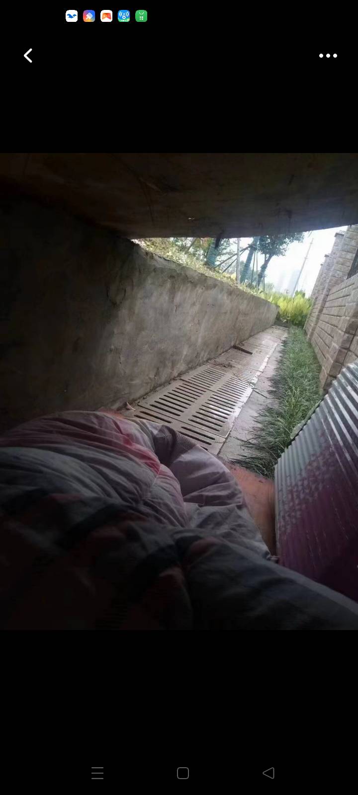 老哥饿死了，发点毛吧


82 / 作者:华子拍华子 / 