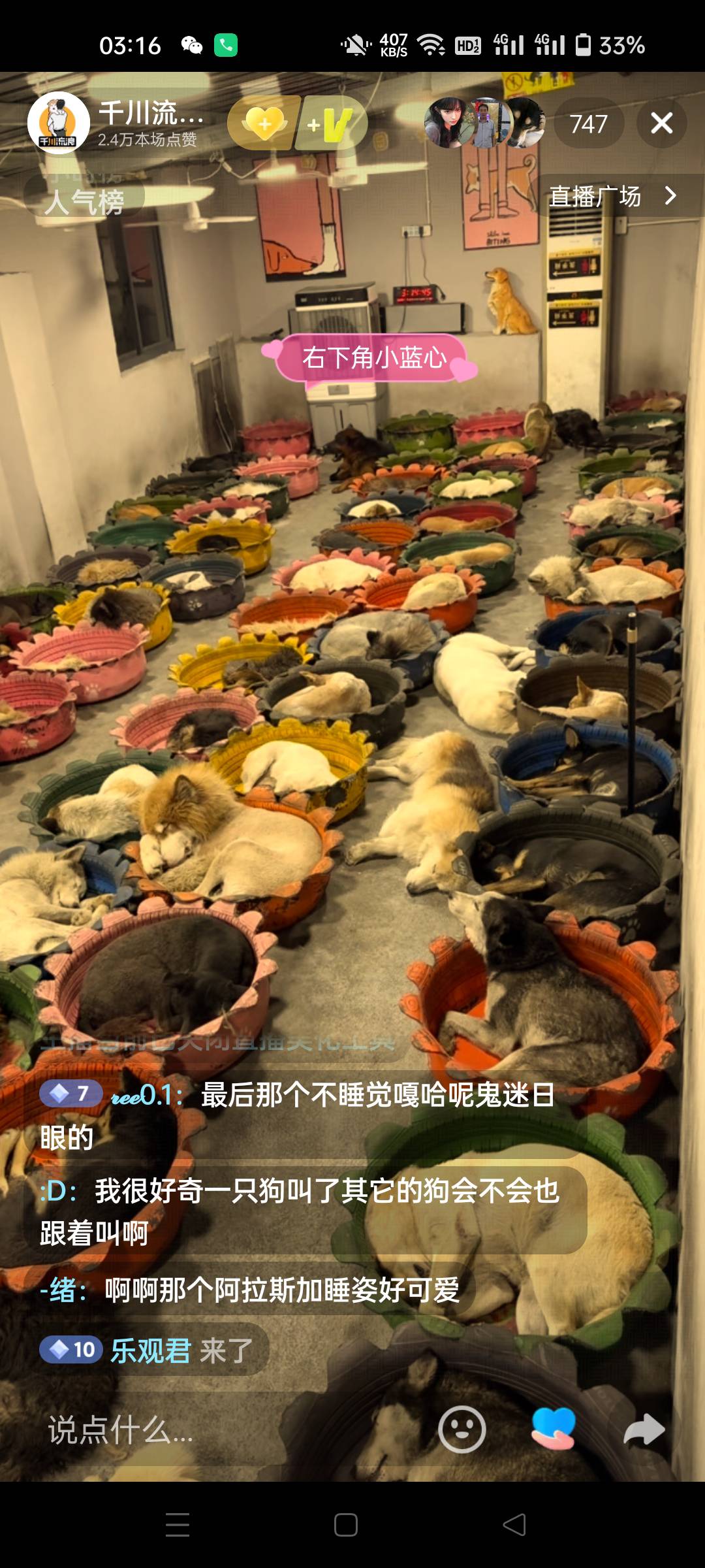 活的不如狗

83 / 作者:生蚝熟了 / 