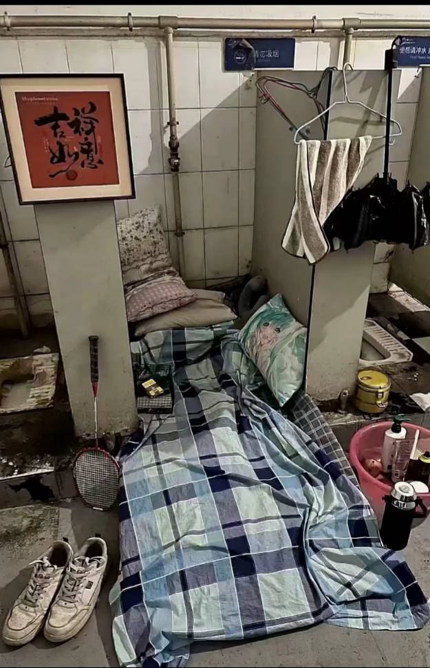 老哥们，刚刚出去开宝箱了。运气不错，第一个桶就爆了3快披萨


71 / 作者:华子拍华子 / 