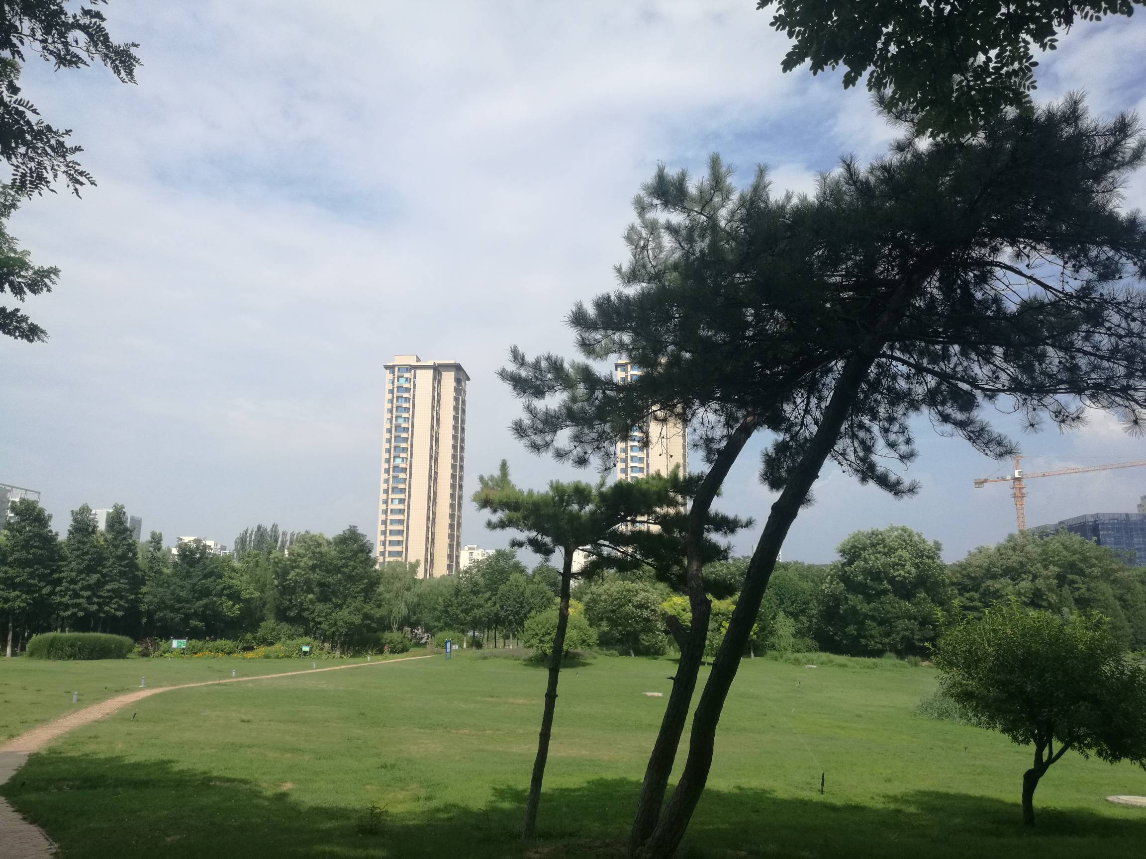 绝望了

100 / 作者:努力优秀_ / 