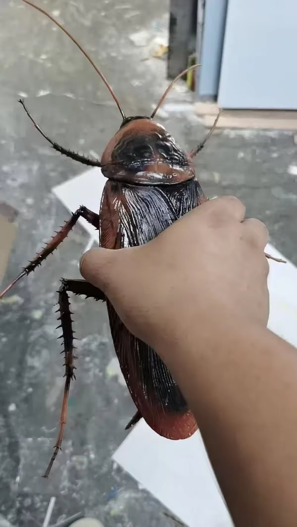刚睡醒，有毛吗

87 / 作者:电闪雷鸣 / 