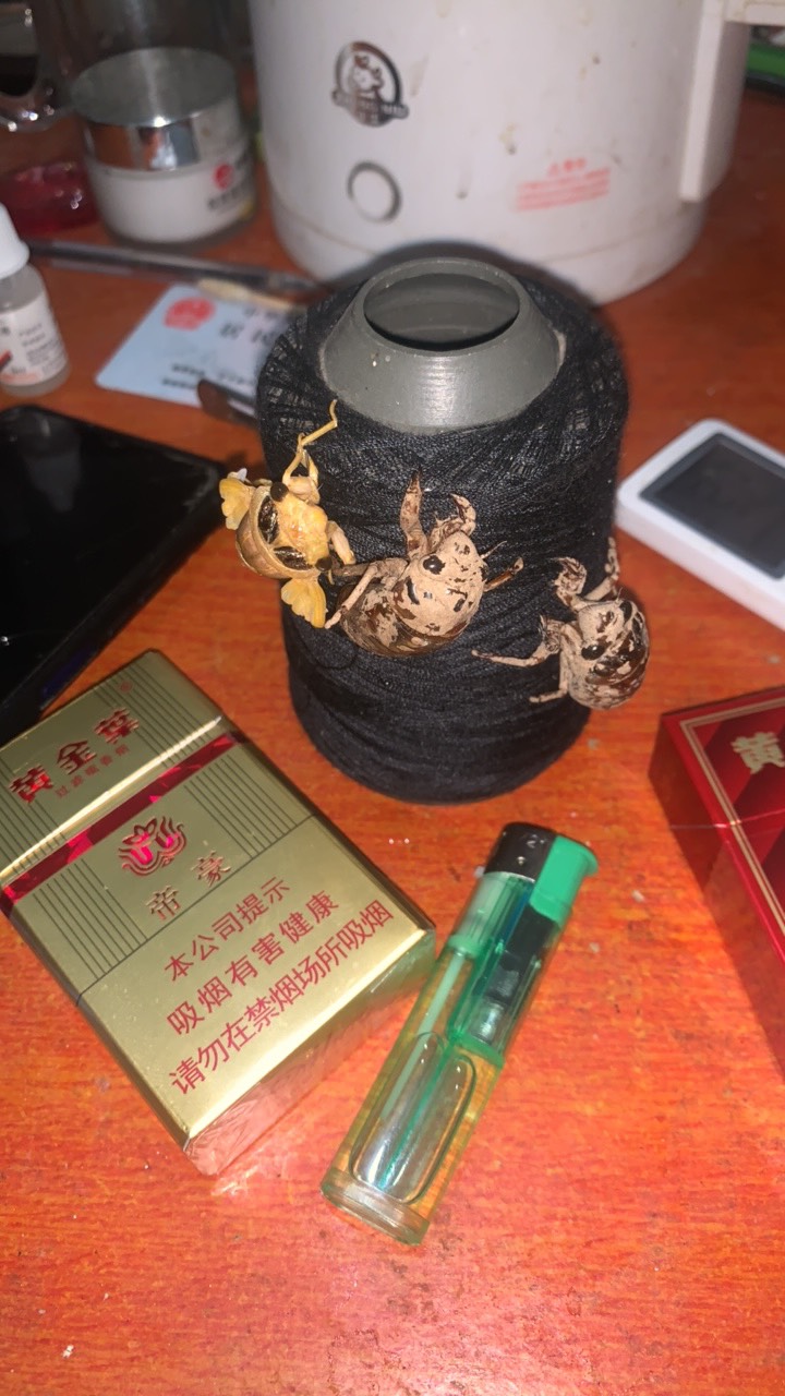 逮了三个爬叉第一个最早逮的全程抓在手里到家已经蜕皮出来了

48 / 作者:陌上花开9698 / 