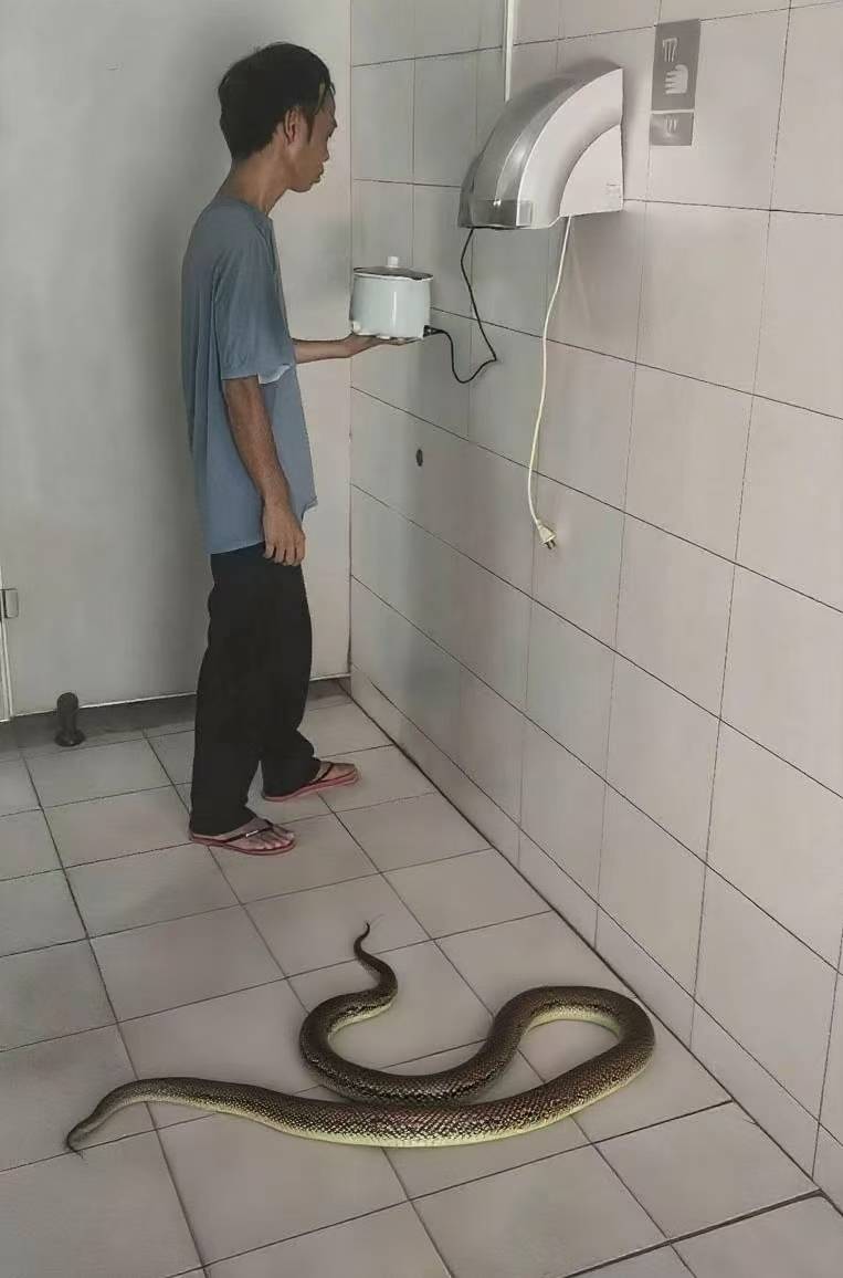 老哥们给你们煮饺子吃。

86 / 作者:卡你妹_ / 