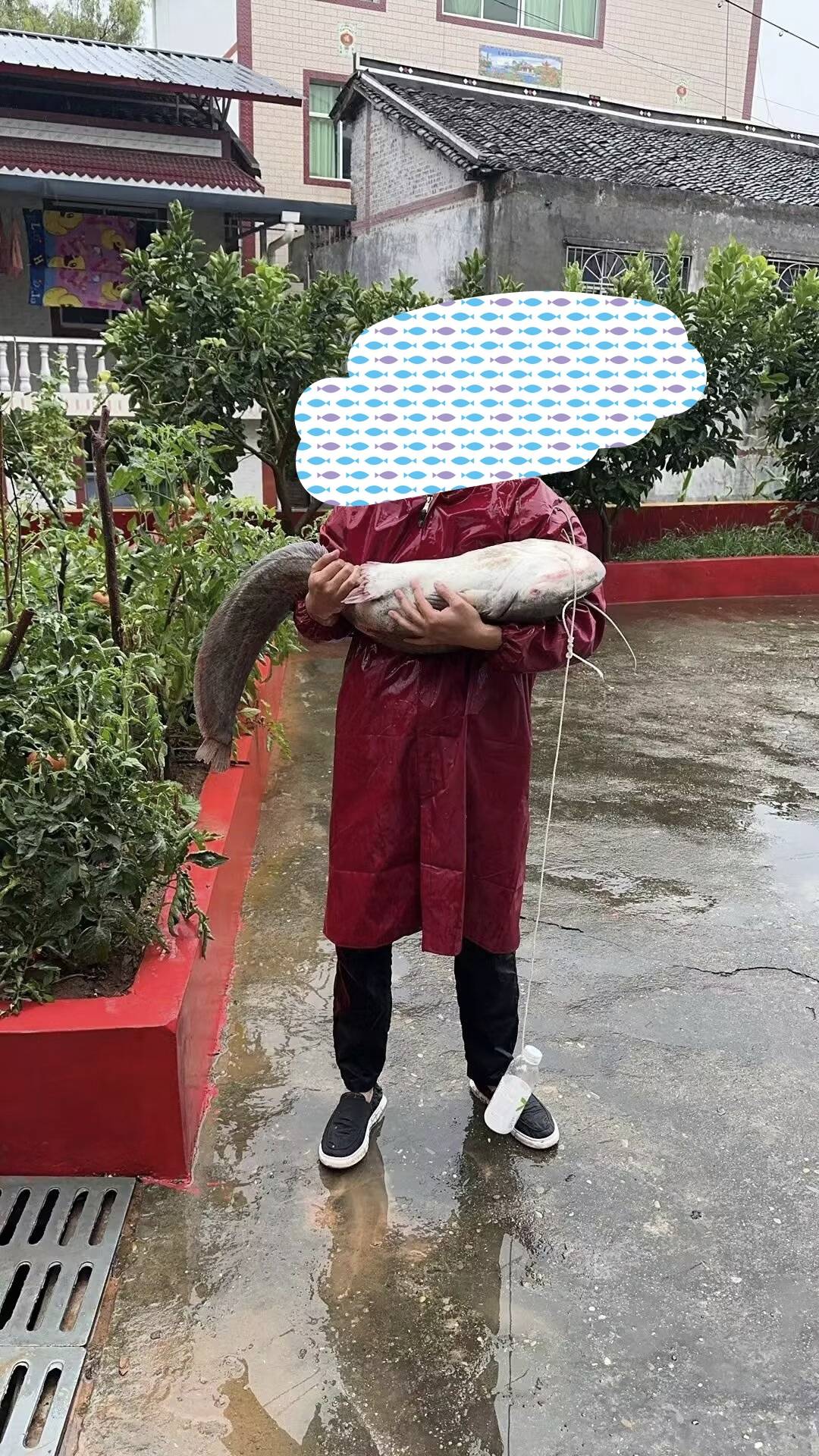 鲤鱼不好吃，放了

47 / 作者:勤快星奋斗的小鹿 / 