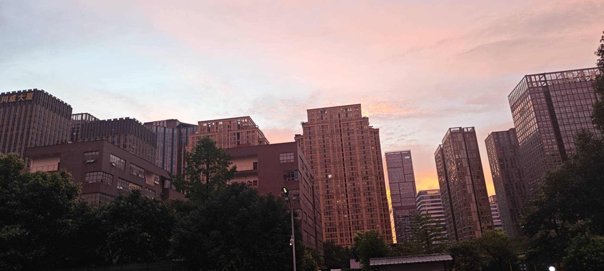 今天发了10000工资  给初恋发了8200  留一千给老婆买菜  剩下的买烟酒  又是美好的一5 / 作者:黑鬼儿 / 