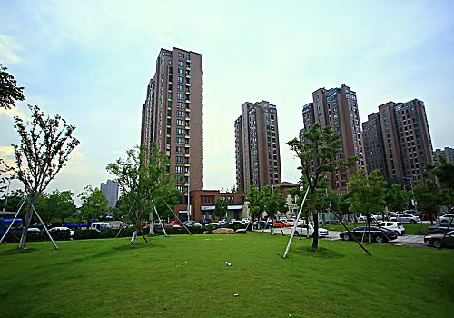 ……

20 / 作者:无毛也好不扎嘴 / 