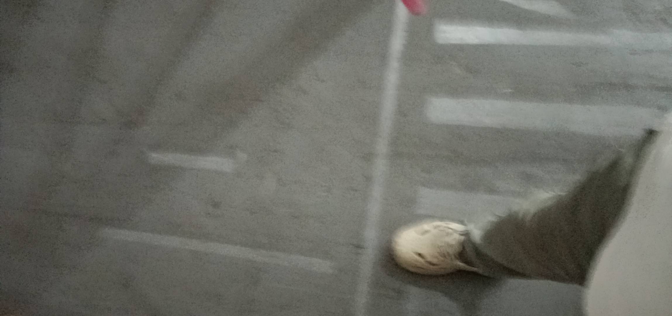 有啥任务平台里面啥也有，管你五颜六色的，有没有那种任务平台！大家说说

91 / 作者:昨日过往 / 