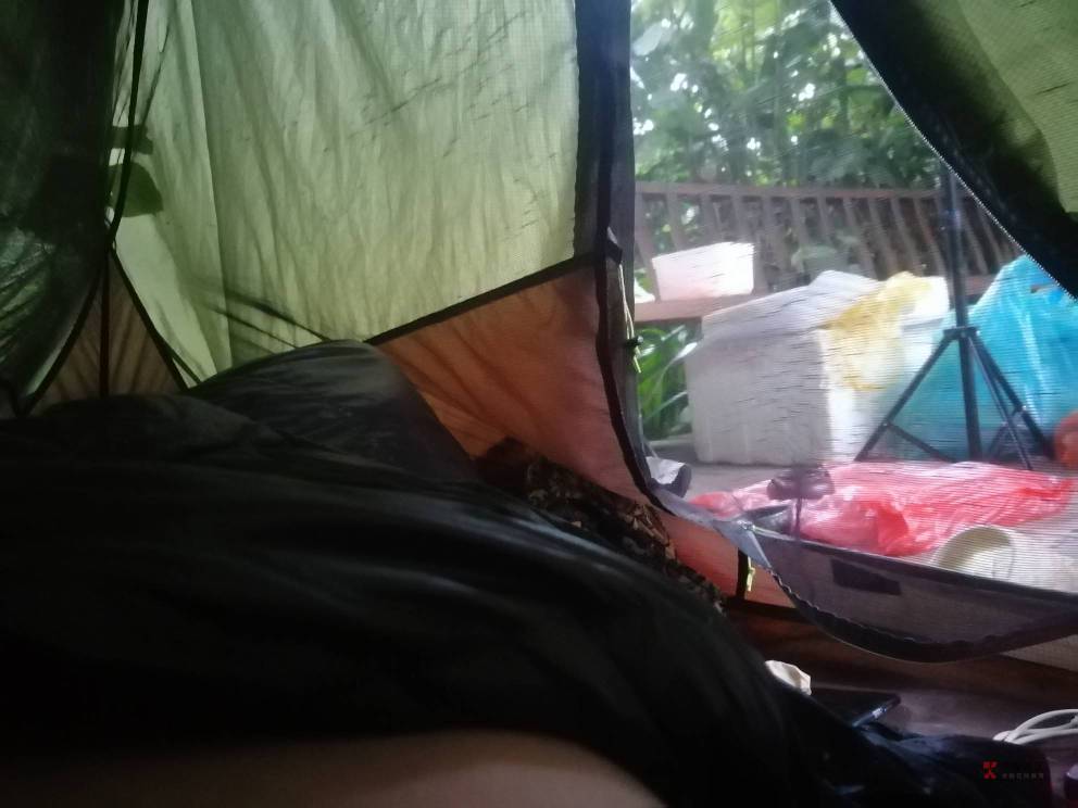 美团点外卖用工行数币支付优惠好几块钱

72 / 作者:朱铁胆 / 