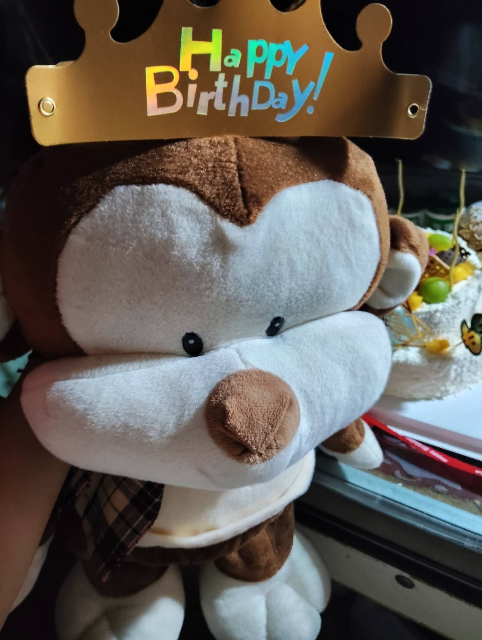 大猴，祝你生日快乐！


49 / 作者:猴子的时候给他 / 
