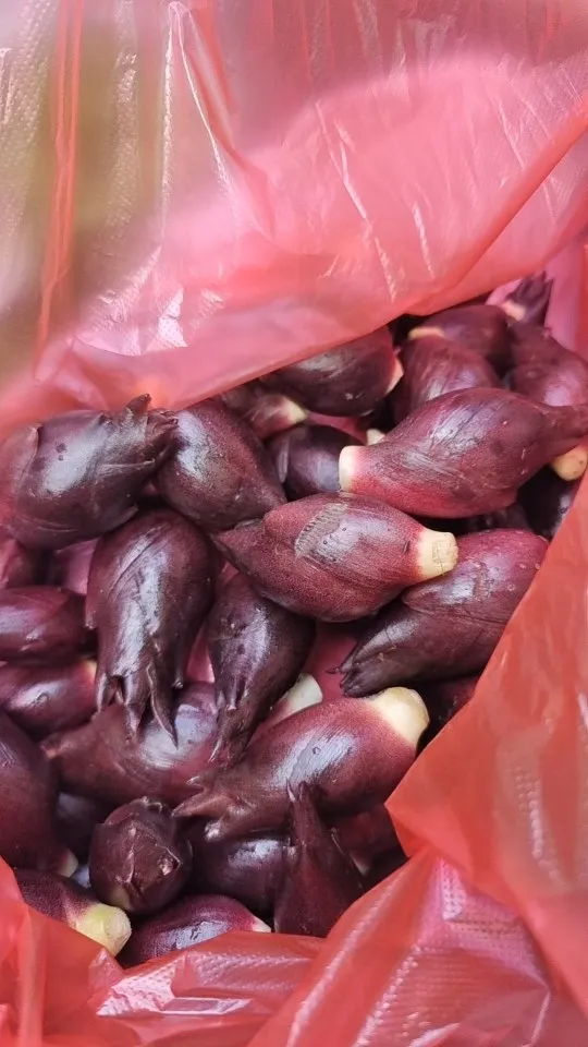 老哥你们叫这种叫什么？炒辣椒好好吃

75 / 作者:果然一道 / 