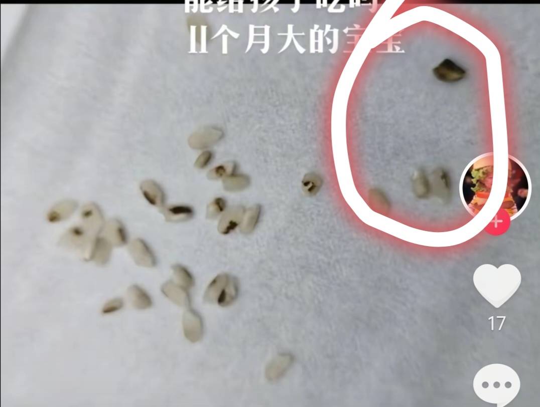 这啥玩意啊，草了

76 / 作者:血泪de史 / 