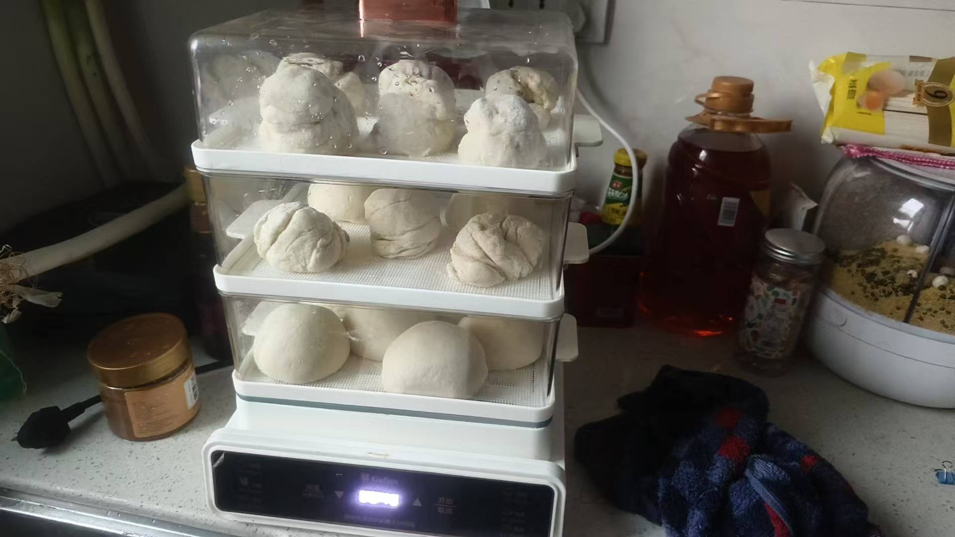 能吃好几顿了，坚持到发工资

74 / 作者:顾小贝 / 