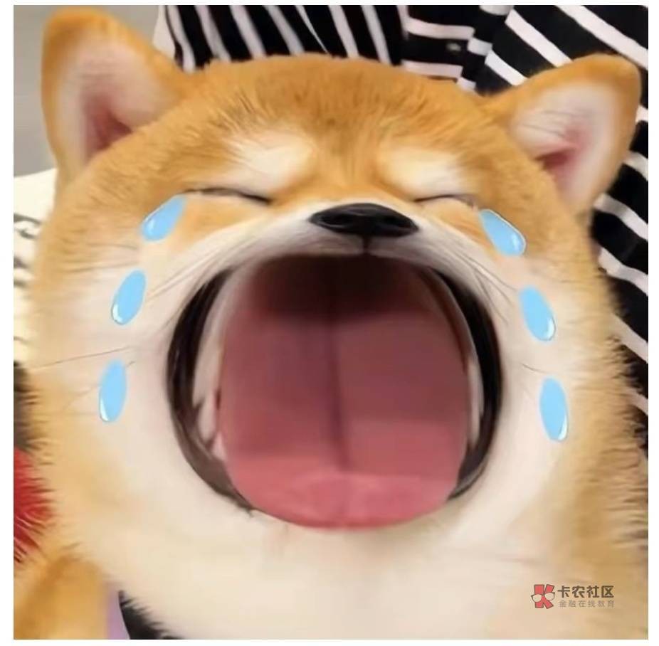 刚才美团点了个华莱士，吃完窜稀问客服怎么回事，客服说吃华莱士窜稀是正常情况，不窜82 / 作者:不予x / 