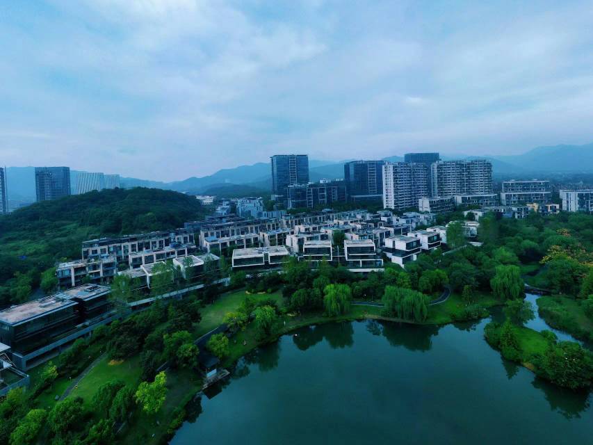 你们是想把小蓝毁了吗? 五个回我五个都说被骗的

81 / 作者:木雁NAF / 