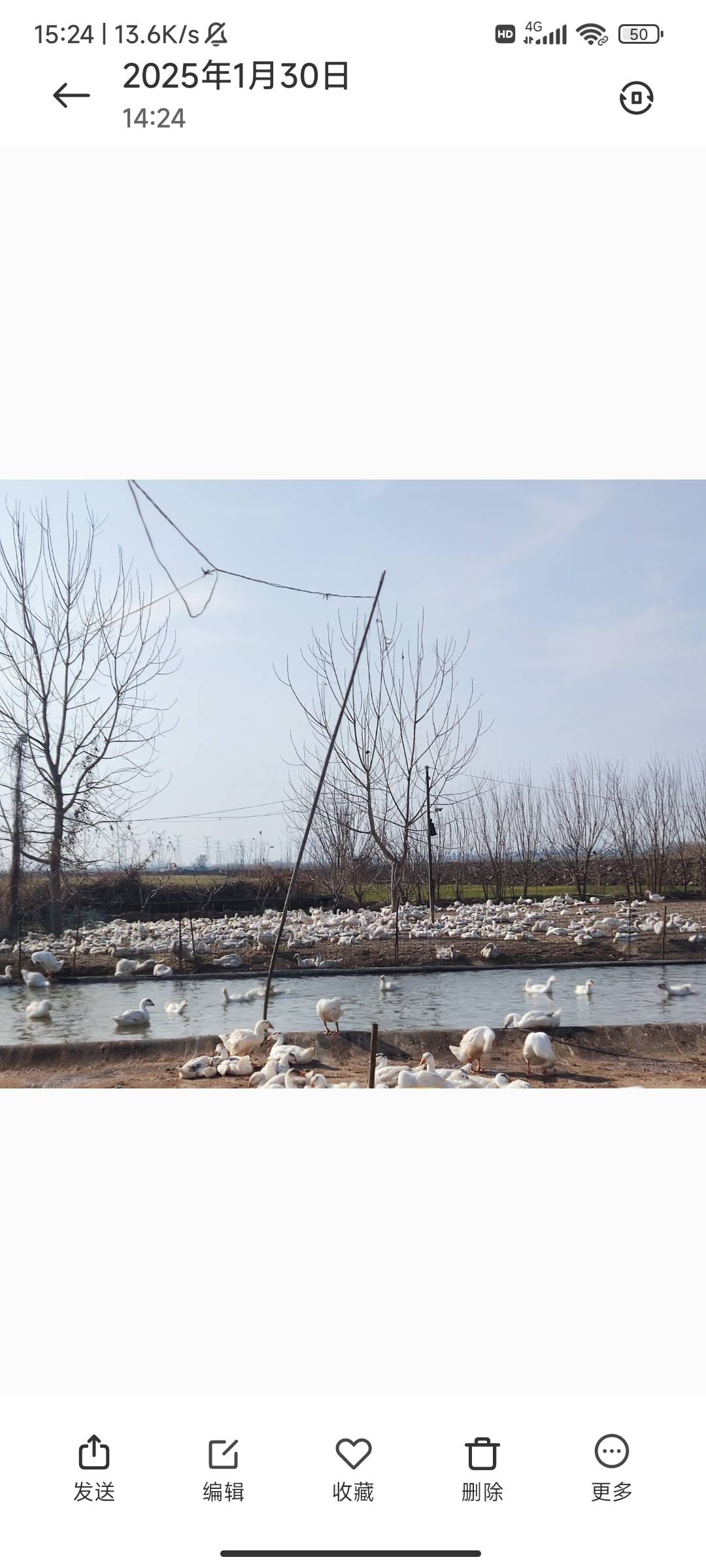 @窝室嫩爹 装你吗呢，我家虽然可能不行但是我句句属实，我都发出来，我家有养殖场养了24 / 作者:麻将糊了333 / 