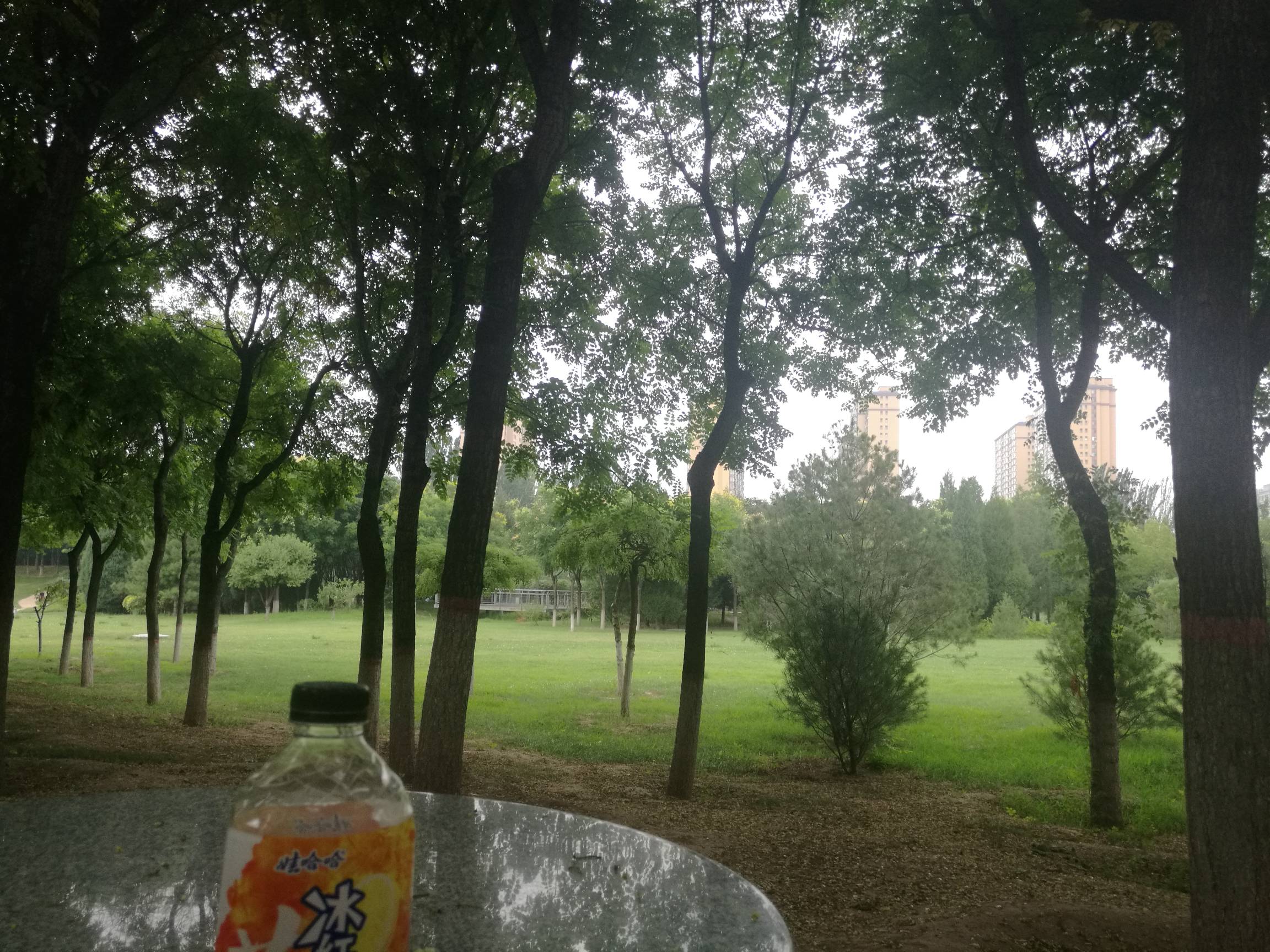 还没破零 老哥们 

88 / 作者:努力优秀_ / 