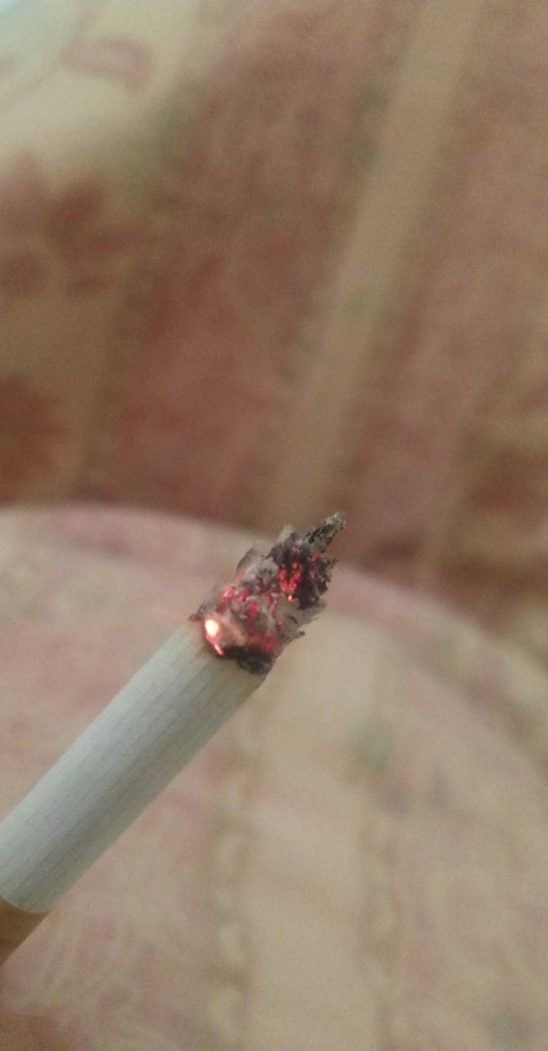 最后半支 毛快来吧

86 / 作者:温柔is / 