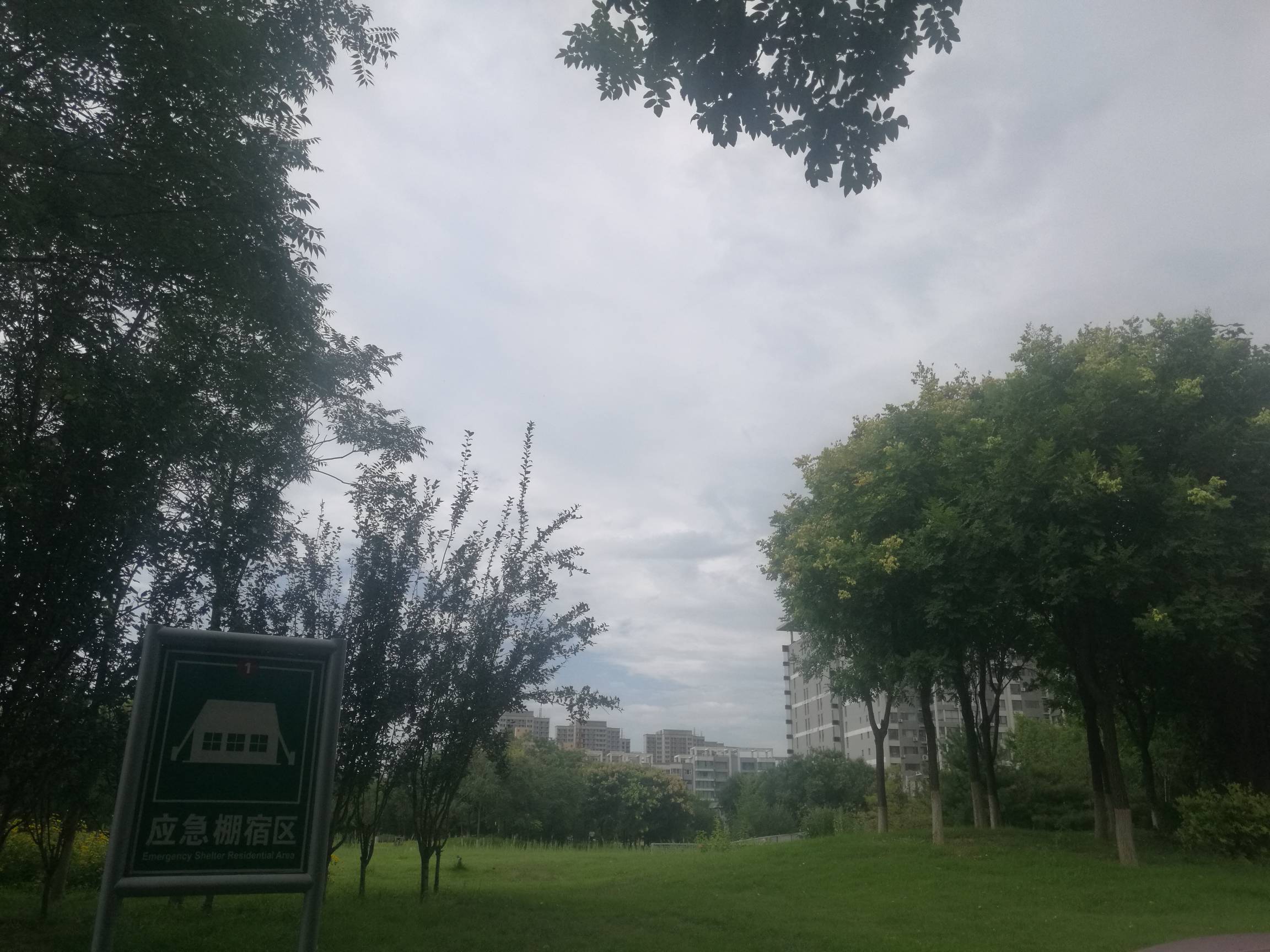 发毛啊 老哥们 饿晕了 

71 / 作者:努力优秀_ / 