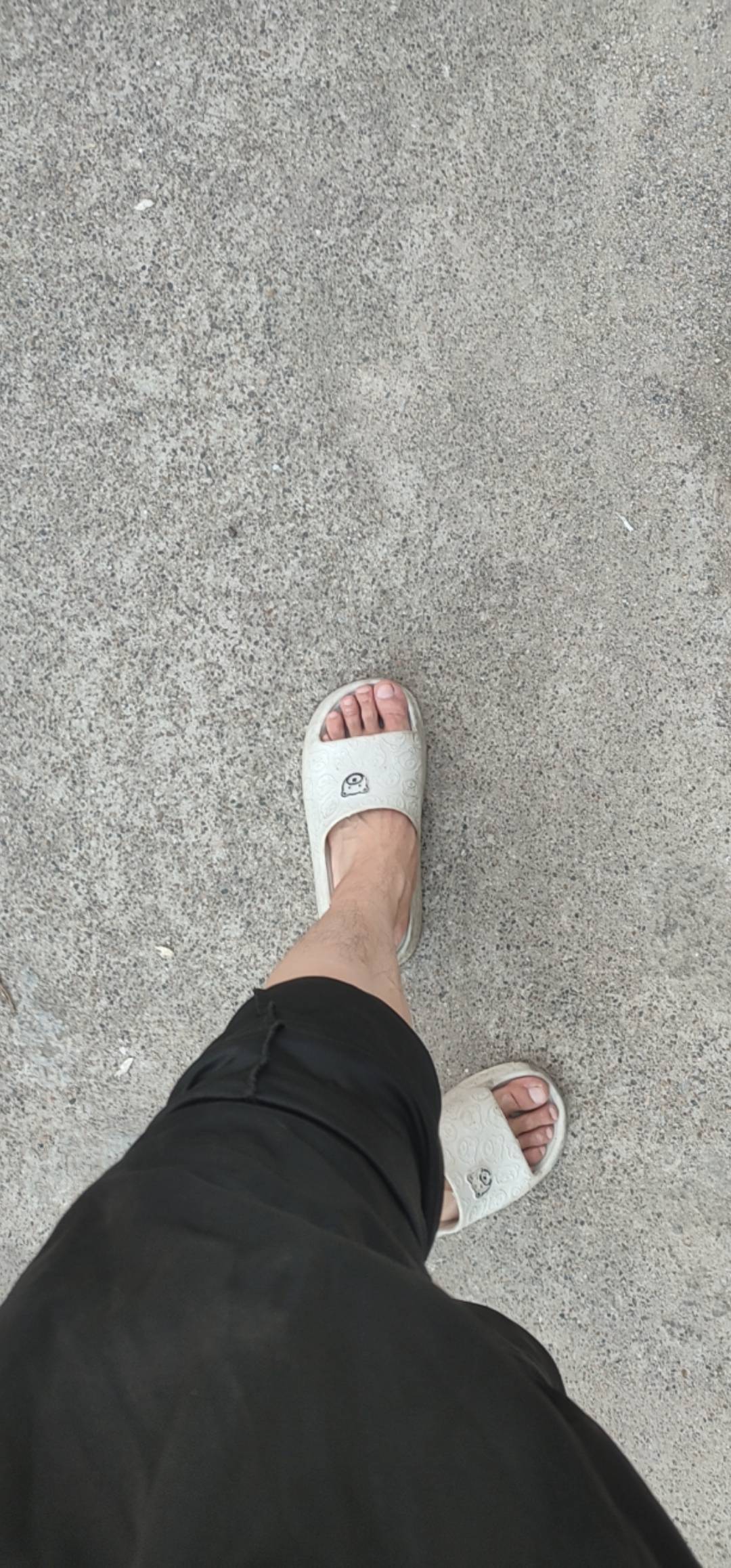 拉了20斤瓶子卖，老板只给我20块，也不知道这个老板是不是黑了钱


15 / 作者:条野太狼 / 
