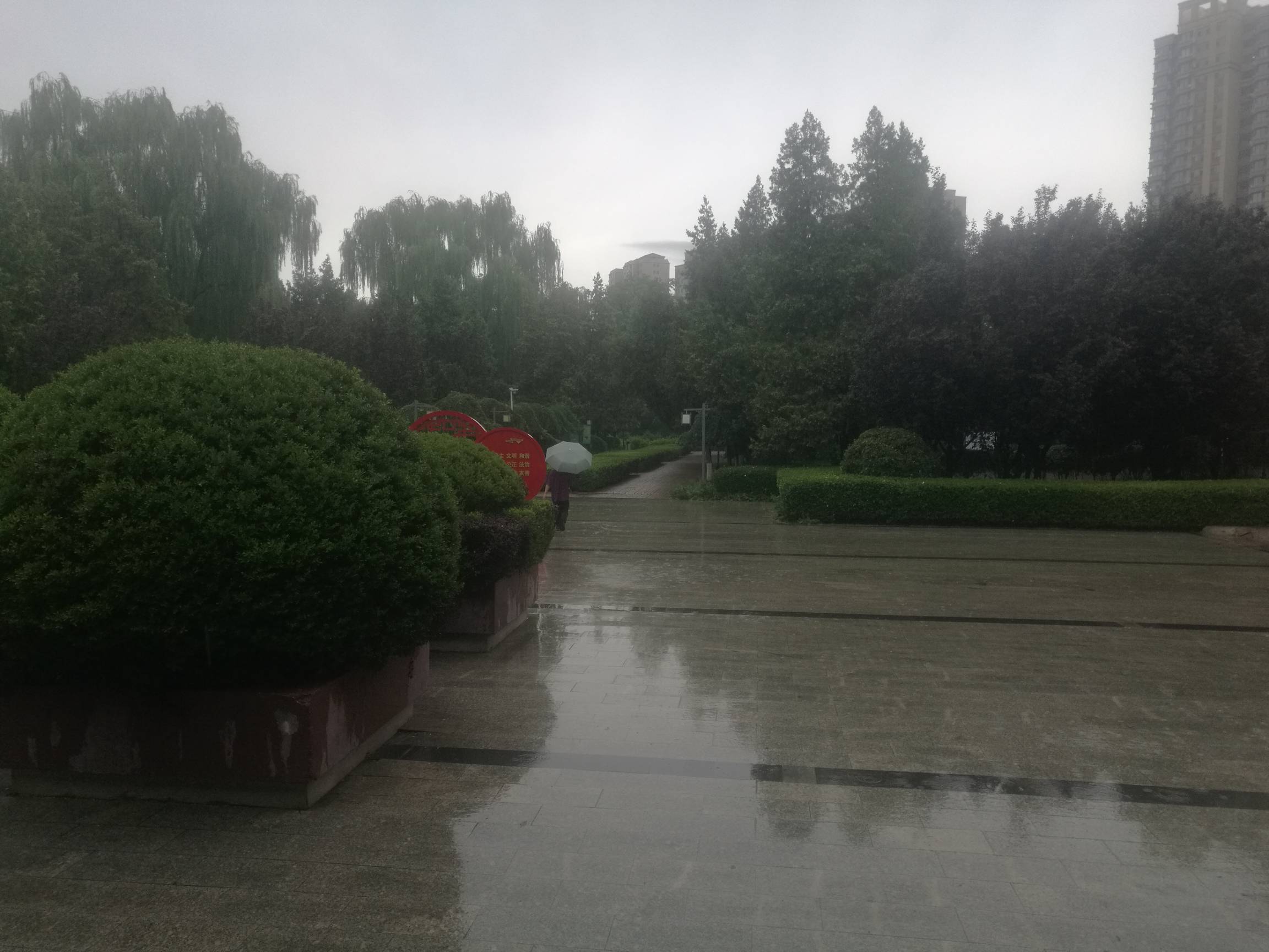 京东天天0.1绝望了挂b公园 下着倾盆大雨 

38 / 作者:努力优秀_ / 
