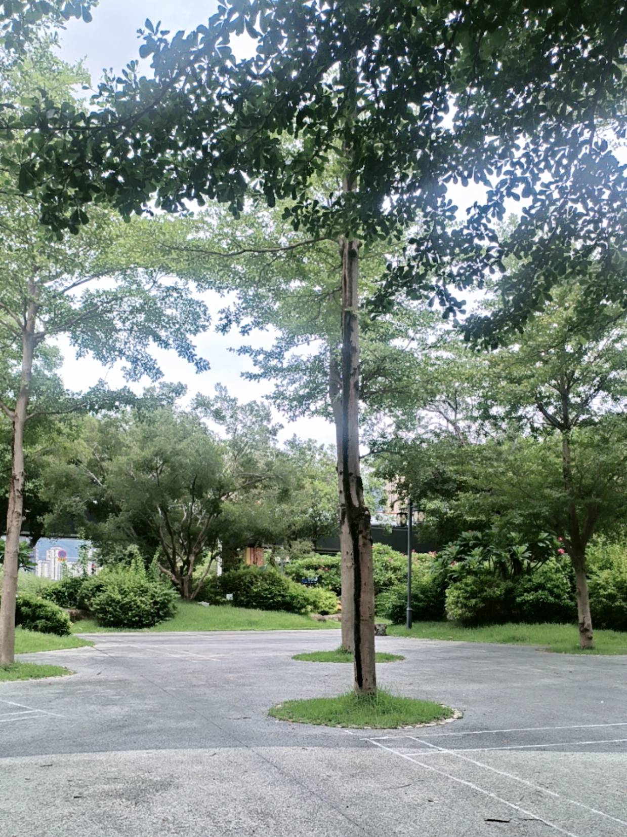 在抖音见识了人性的多样化，来卡农见识了人性的下限，好好的羊毛有些老哥去晚了直接就14 / 作者:kim哥哥 / 