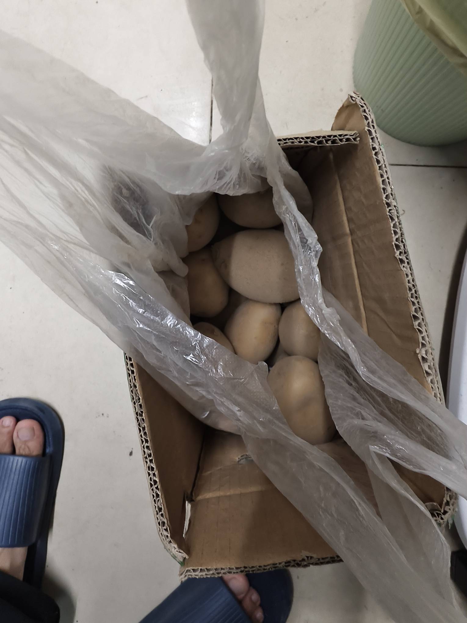 建行一块买的土豆到了

53 / 作者:窃听风吟 / 