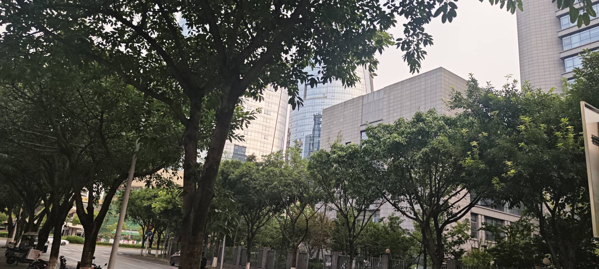 老哥们，工资坚持到了现在，一分没给某庄。这可能是四年来第一次工资能坚持到下个月工49 / 作者:黑鬼儿 / 