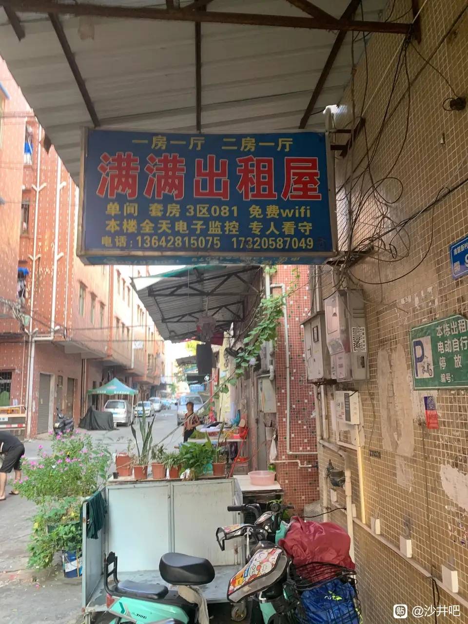 干了半年活，准备再躺几个月，现在行情怎么样，准备重启薅毛生活

30 / 作者:卡农大懒叫 / 